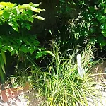 Garden Duplex Sundhoffen