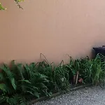 Garden Duplex * Sundhoffen