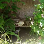 Garden Duplex *
