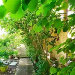 Garden Duplex * Sundhoffen