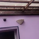 Apartment Garden Duplex