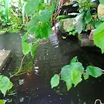 Garden Duplex