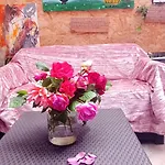 Garden Duplex Sundhoffen