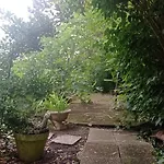 Garden Duplex *