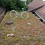 Apartment Garden Duplex