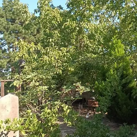 Διαμέρισμα Garden Duplex