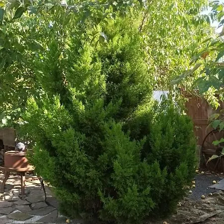 דירה Garden Duplex