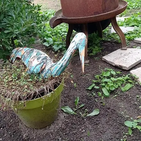 Garden Duplex Sundhoffen