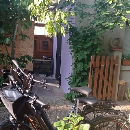 Garden Duplex