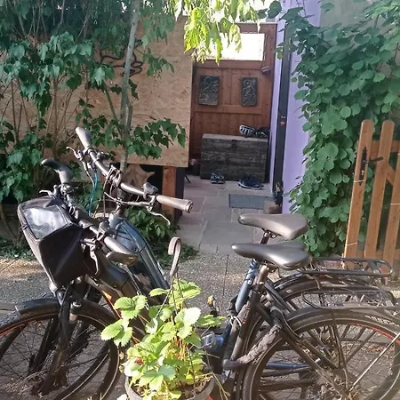 Garden Duplex דירה *