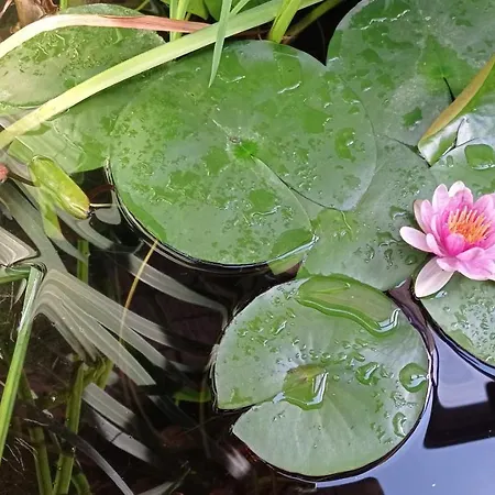 דירה Garden Duplex Sundhoffen