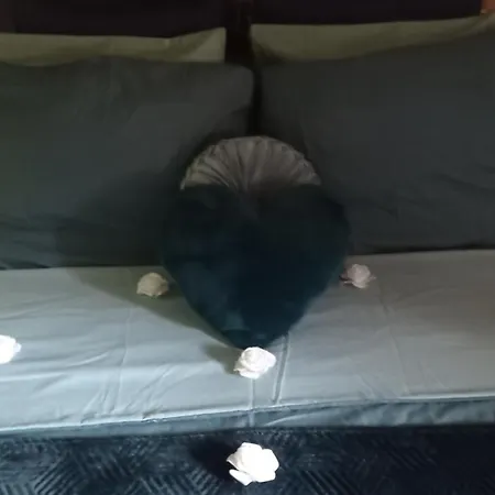 Garden Duplex Daire Sundhoffen