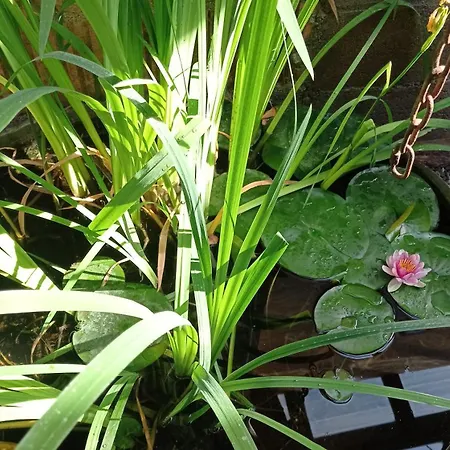 Apartamento Garden Duplex