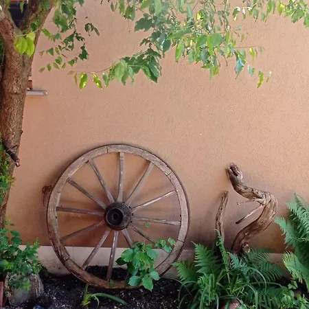Apartment Garden Duplex Sundhoffen