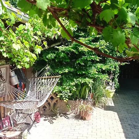 Lejlighed Garden Duplex Sundhoffen