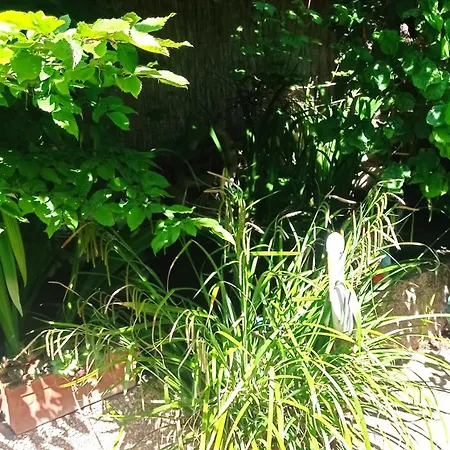 Garden Duplex Sundhoffen