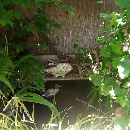 Garden Duplex *