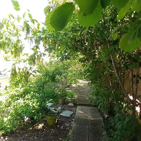Garden Duplex Sundhoffen