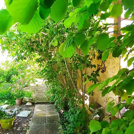 Garden Duplex * Sundhoffen
