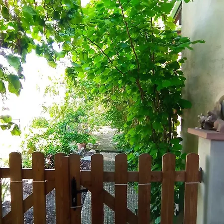 Garden Duplex
