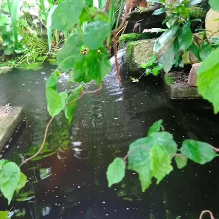 Garden Duplex