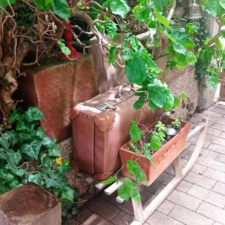 Appartement Garden Duplex