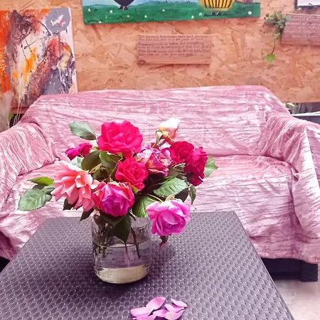 Garden Duplex Sundhoffen