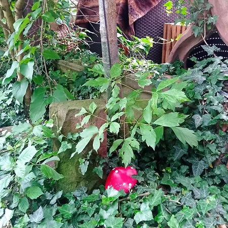 Garden Duplex Daire Sundhoffen