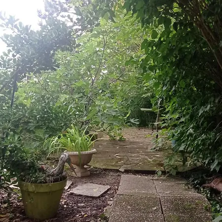 Garden Duplex *