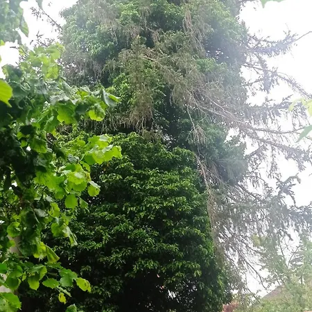 Garden Duplex Sundhoffen