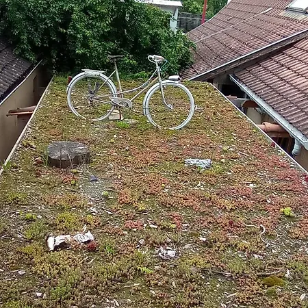 Appartement Garden Duplex